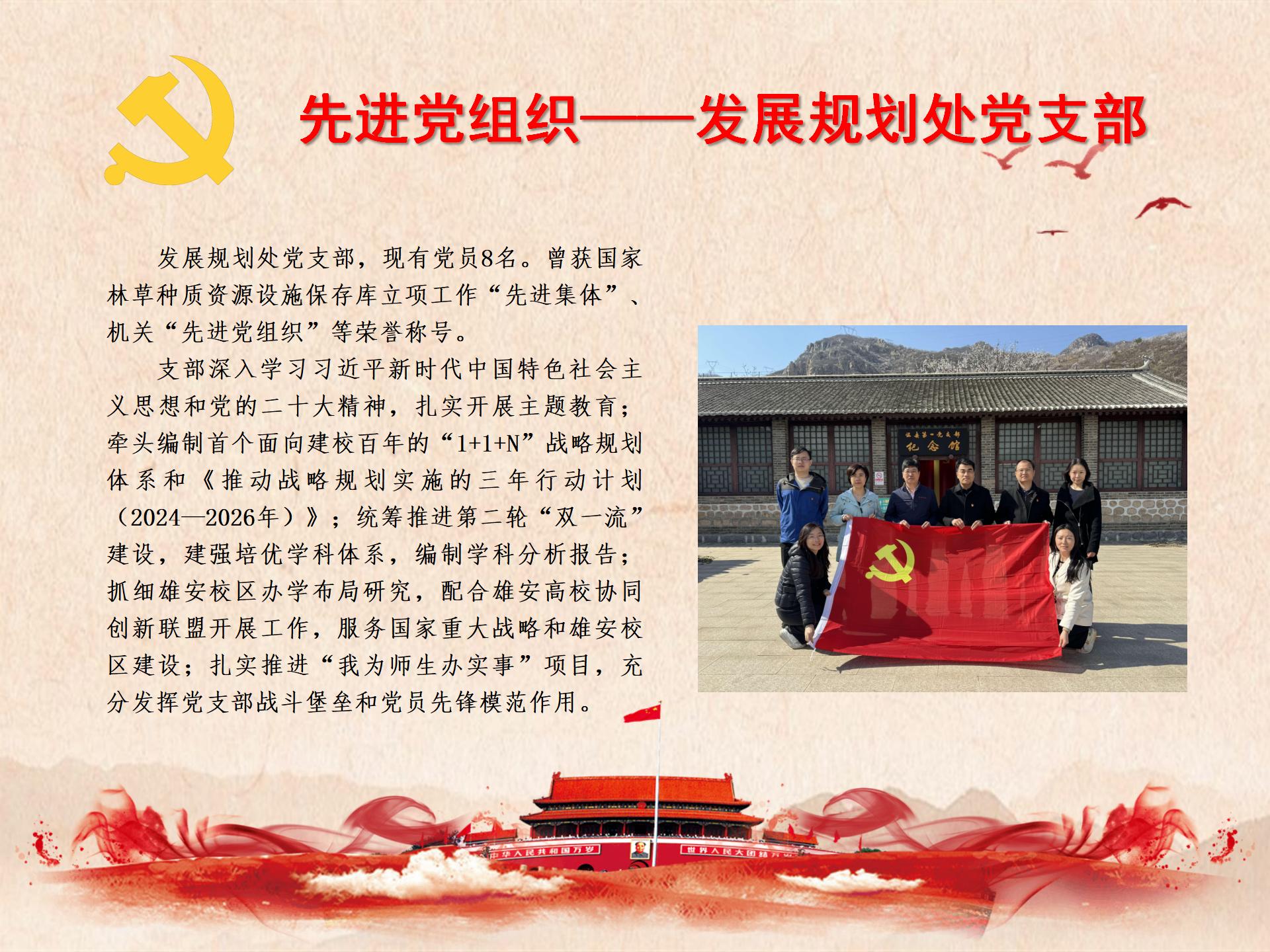 先进党组织——发展规划处党支部