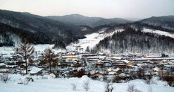 防控动态|校领导检查实验林场疫情防控和防火安全工作