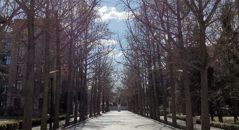 防控动态|党委常委会暨疫情防控领导小组召开会议部署疫情防控工作举措