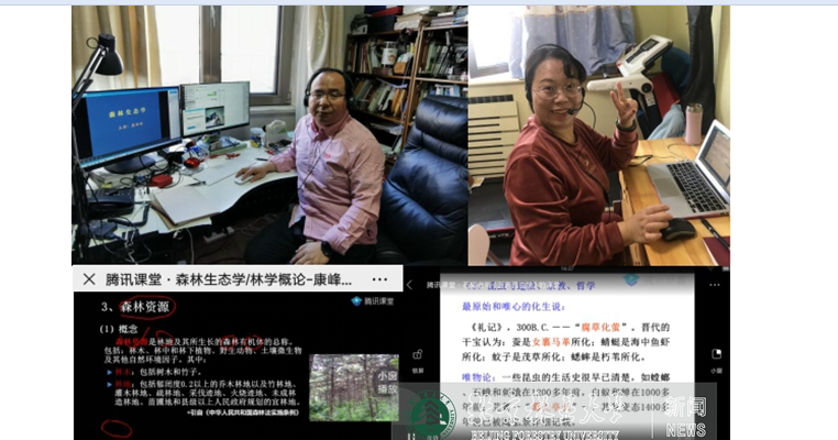 防控动态|林学院多举并行稳步推进线上教学工作
