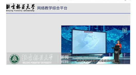 教学“疫”线|陈菁：“混合”教学齐上线 守好教书育人“责任田”