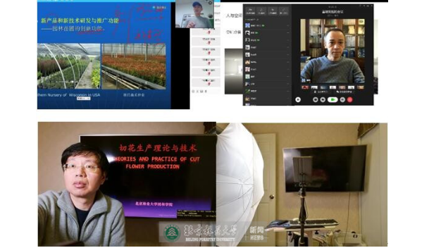 防控动态|园林学院线上教学平稳扎实推进
