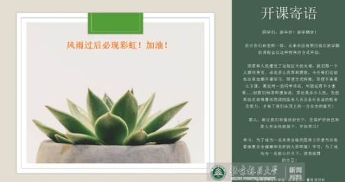 教学“疫”线|董丽：千里传学，网络授课体悟