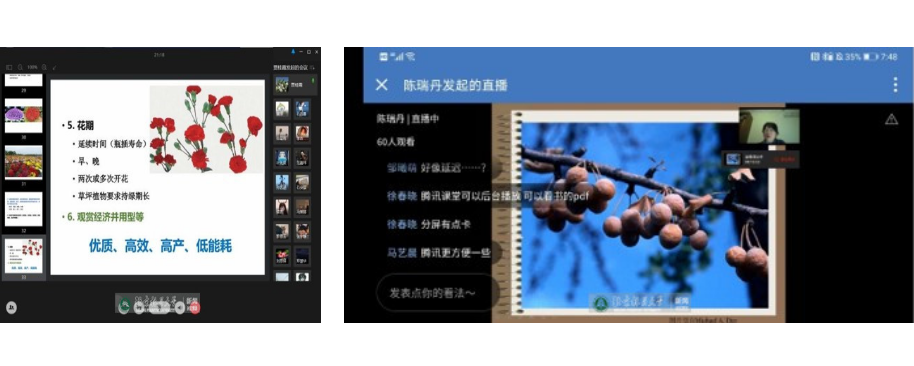 防控动态|园林学院开展全方位线上教学检查，确保教学质量不下滑