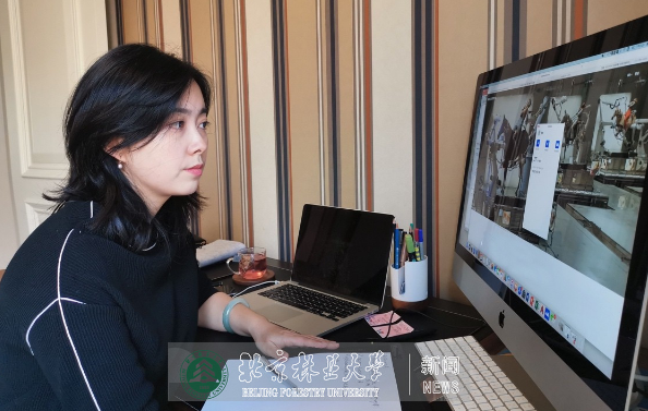 教学“疫”线|姚璐：打造有声有色，有来有往的网络课堂