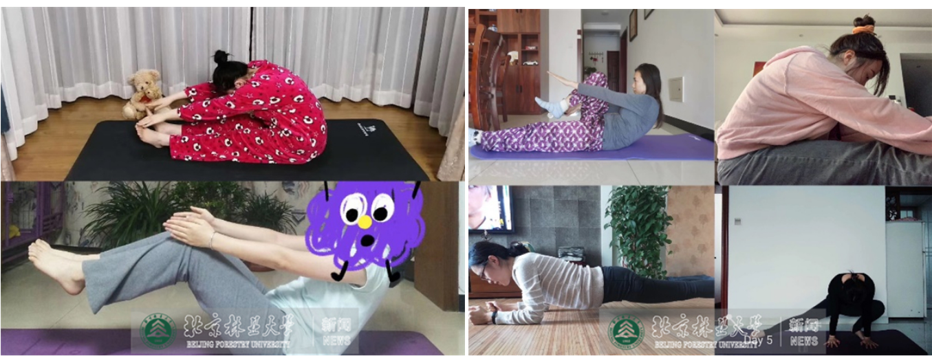 防控动态|生物学院“运动战‘疫’”兴趣十足引热潮