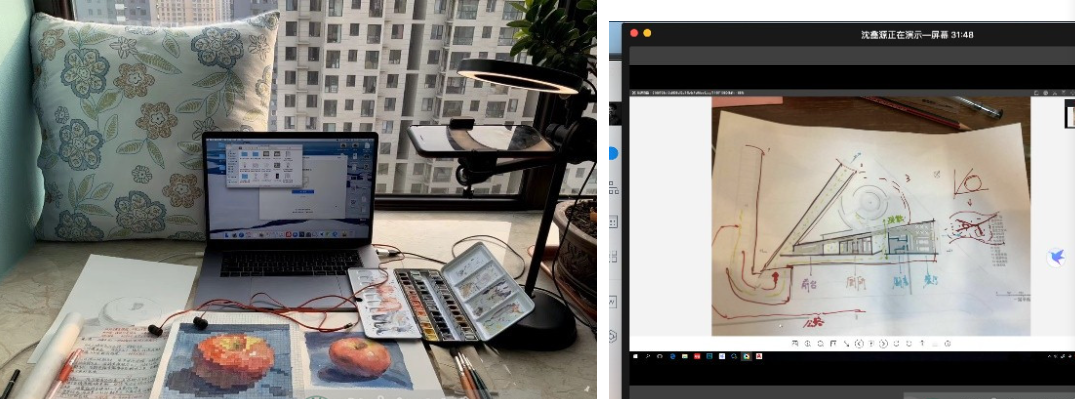 防控动态|园林学院本科“云教学”秩序井然