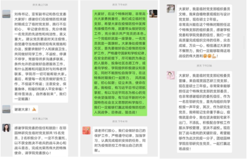 “疫”路同心|园林学院临时党支部在鄂党员“同表决心，共践承诺”