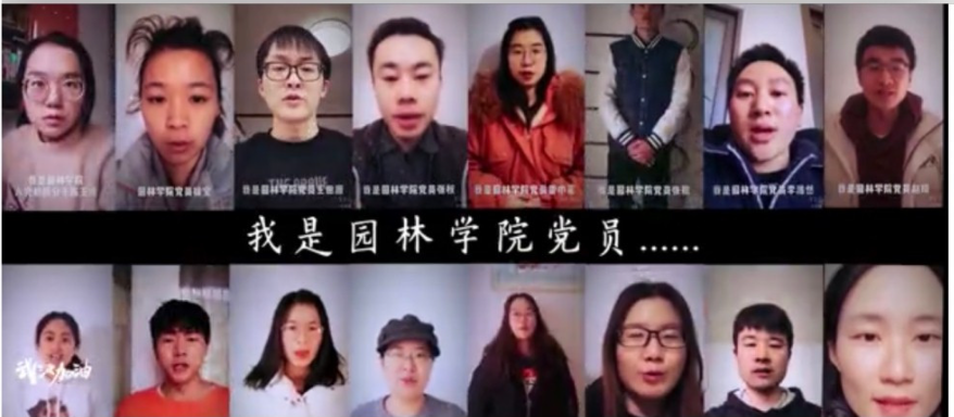 “疫”路同心|园林学院在鄂临时党支部，向党组织报到！