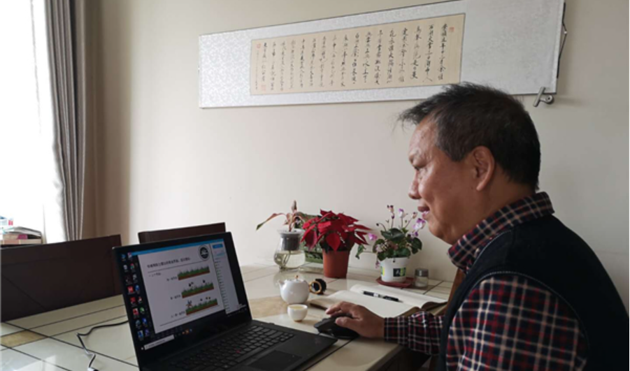 教学“疫”线|苏德荣：老树春深更著花