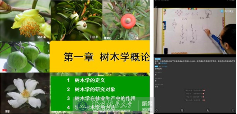 教学“疫”线|谢磊：厉兵秣马 不打无准备之仗