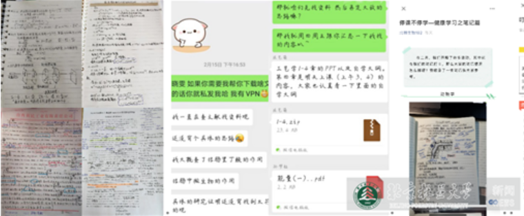 防控动态|生物学院学生开展朋辈学习深化课后教学成果