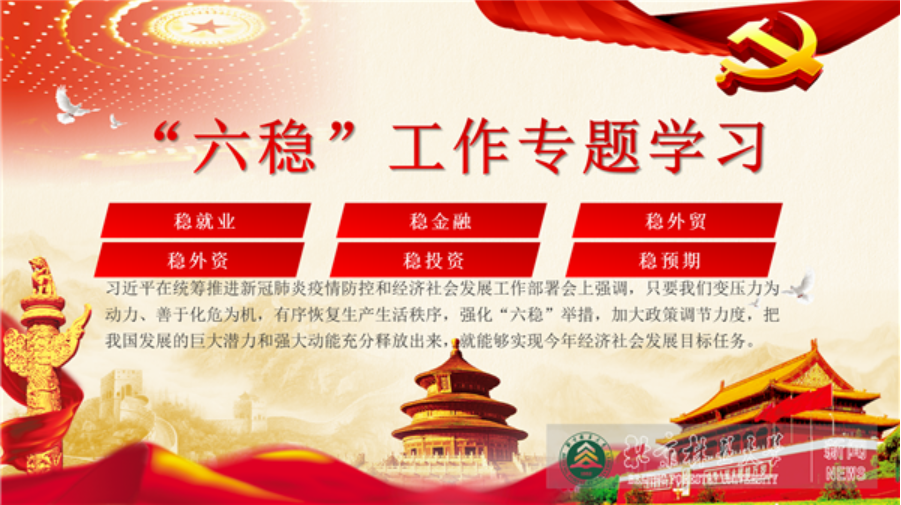 “疫”路同心|招生就业处党支部开展线上组织生活 抓“稳就业”工作落地