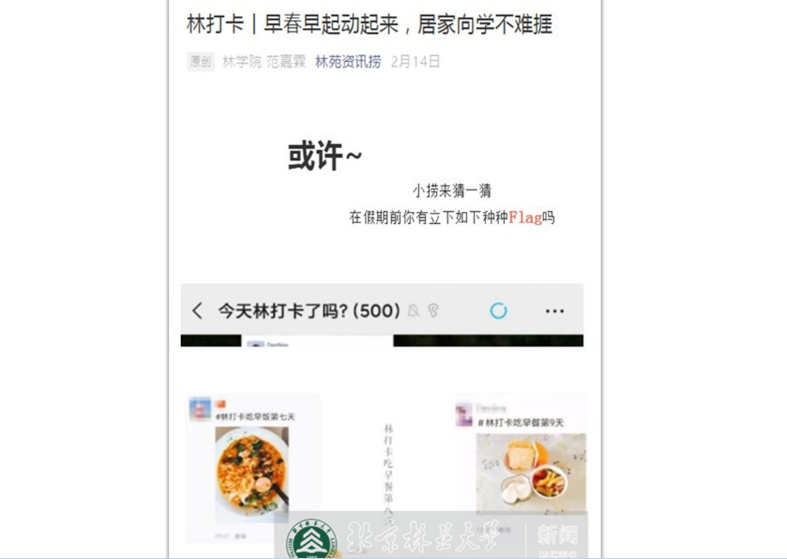 防控动态|林学院21天“林打卡”助力学生健康生活