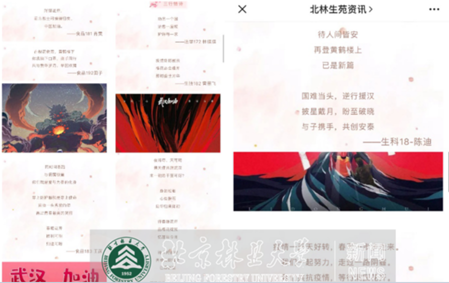 防控动态|生物学院师生在玉兰文化节艺术战“疫”