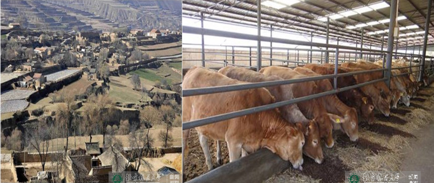 防控动态|生物学院青年学生返乡之小康见闻记录