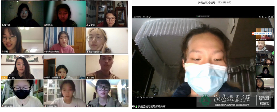 “疫”路同心|艺术设计学院学生本科第一党支部开展线上学习会创新学习成果