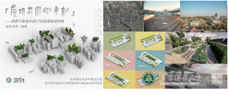 教学“疫”线|项目带教学、课题促发展——艺术设计学院创新实验班教学模式新探索