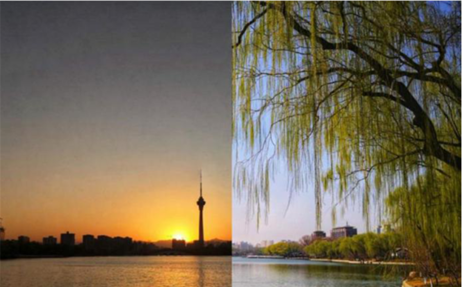 防控动态|园林学子春日寻绿 合拍日记传递战“疫”信念