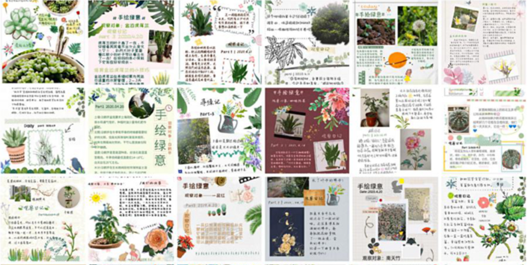 防控动态|园林学子手绘绿意 众志成城抗疫情