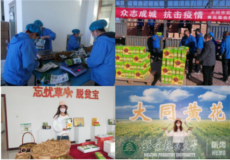 防控动态|林学院学生参加地方防疫志愿工作受到表扬