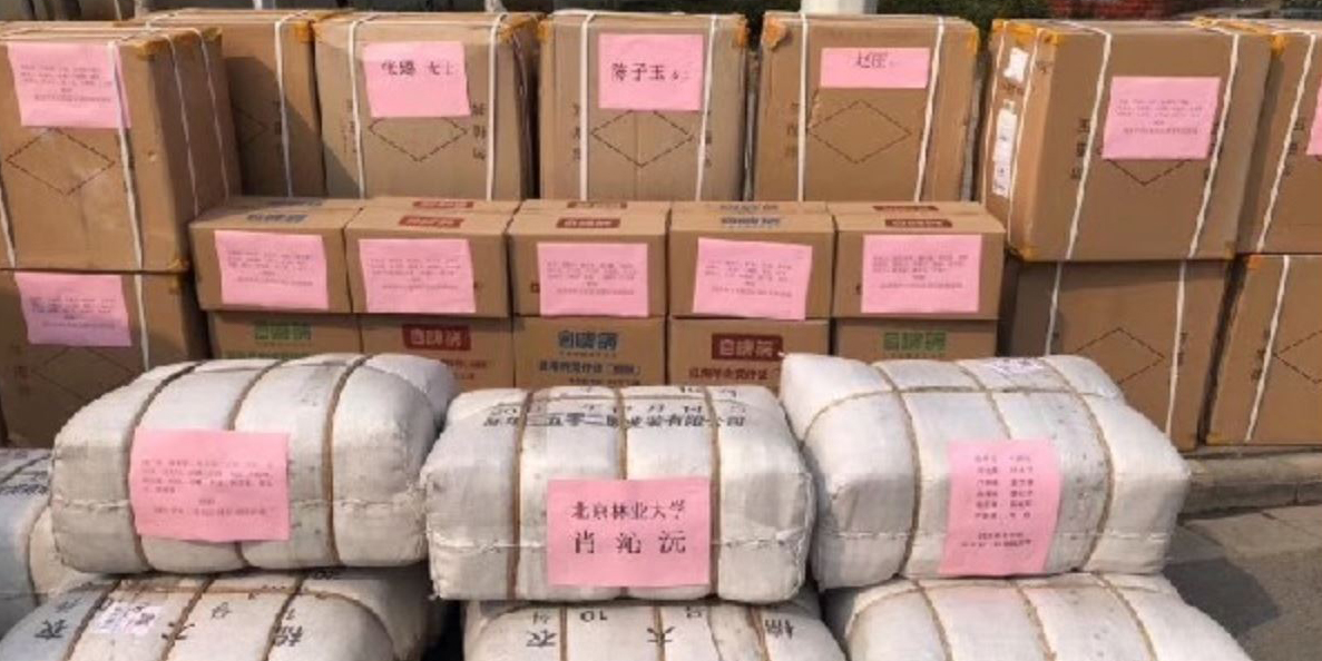 “疫”线采风|“00后”大学生紧急募资应援一线战“疫”