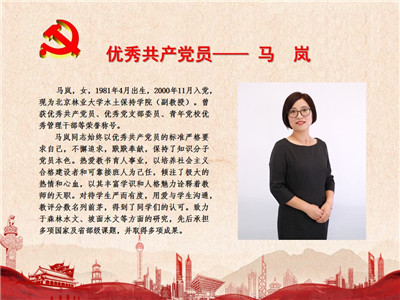 优秀共产党员——马岚