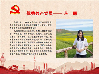 优秀共产党员——丛丽