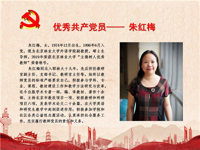 优秀共产党员——朱红梅