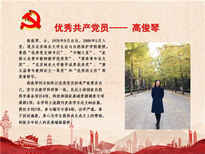 优秀共产党员——高俊琴