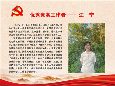 优秀党务工作者——江宁