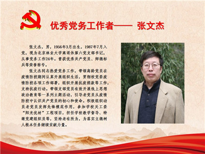 优秀党务工作者——张文杰