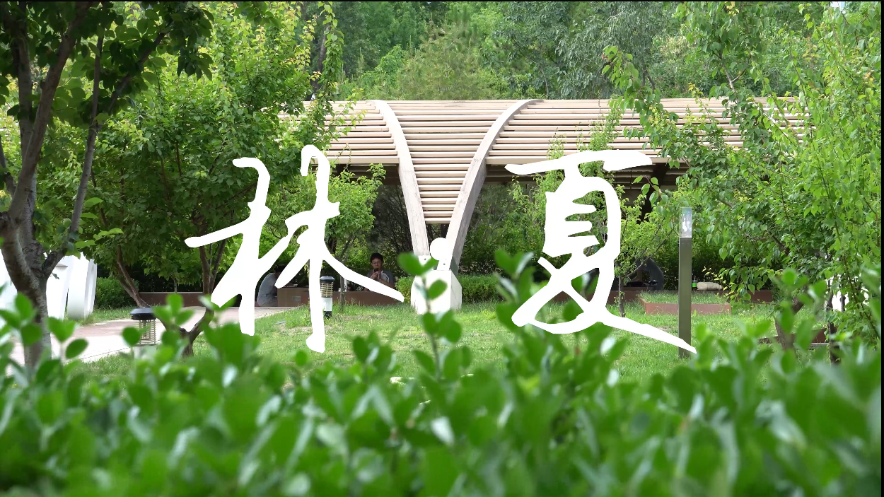 北林视频：林·夏