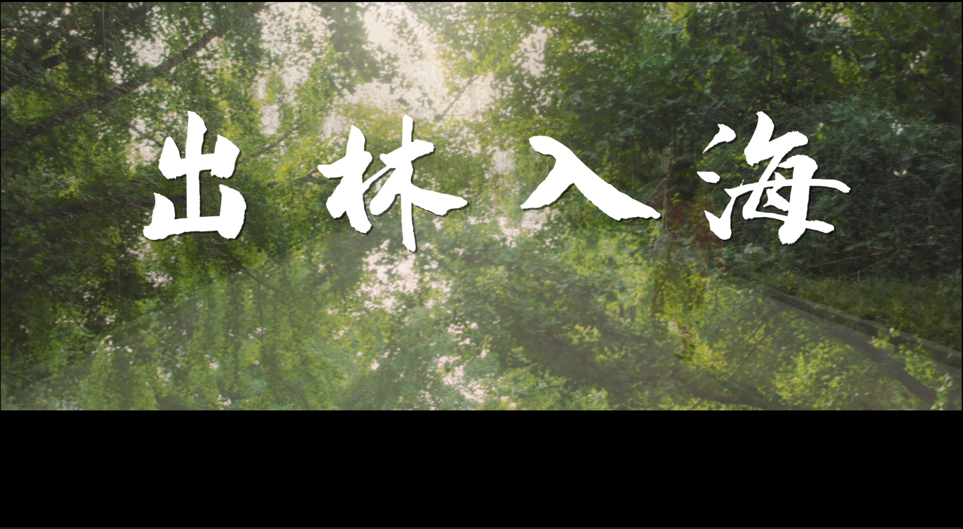 北林校友2023年毕业季祝福视频