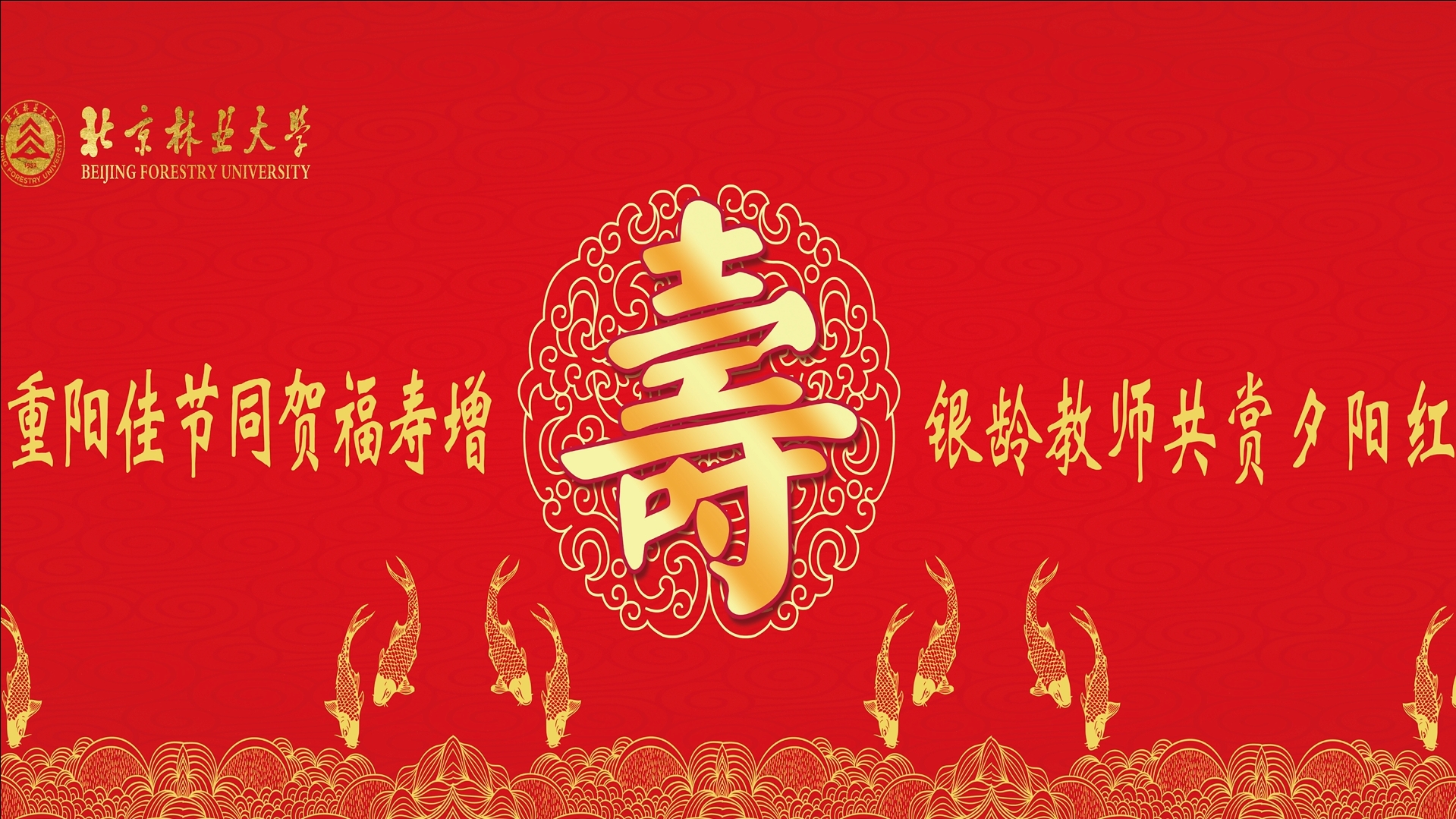 “重阳佳节同贺福寿增，银龄教师共赏夕阳红”集体祝寿暨“银龄之星”表彰大会
