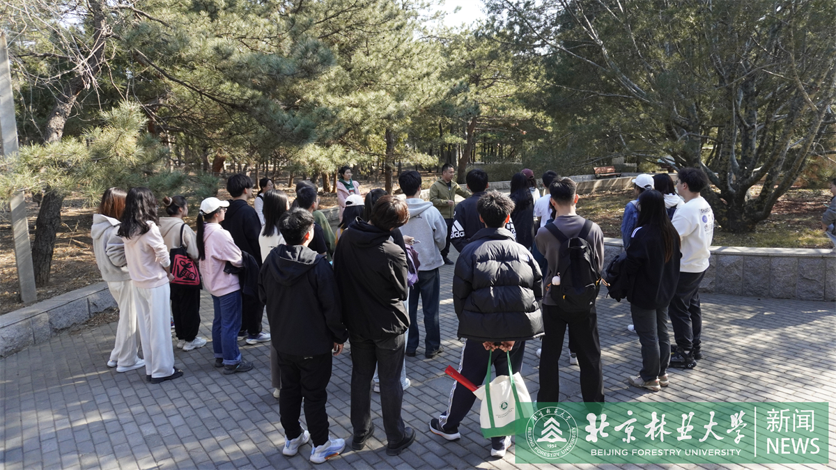 图1.JPG