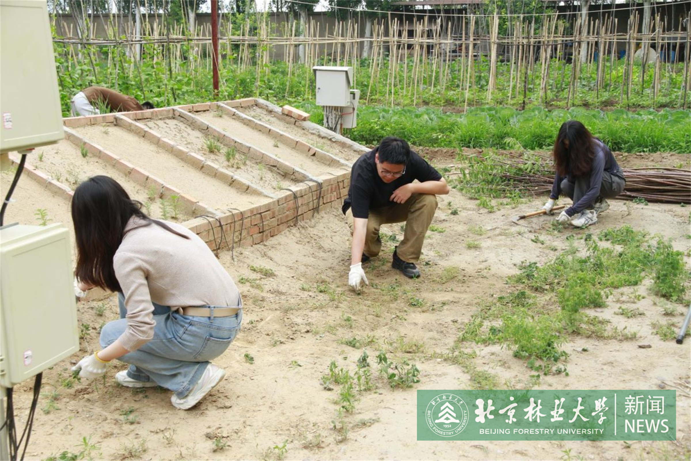 图5.jpg
