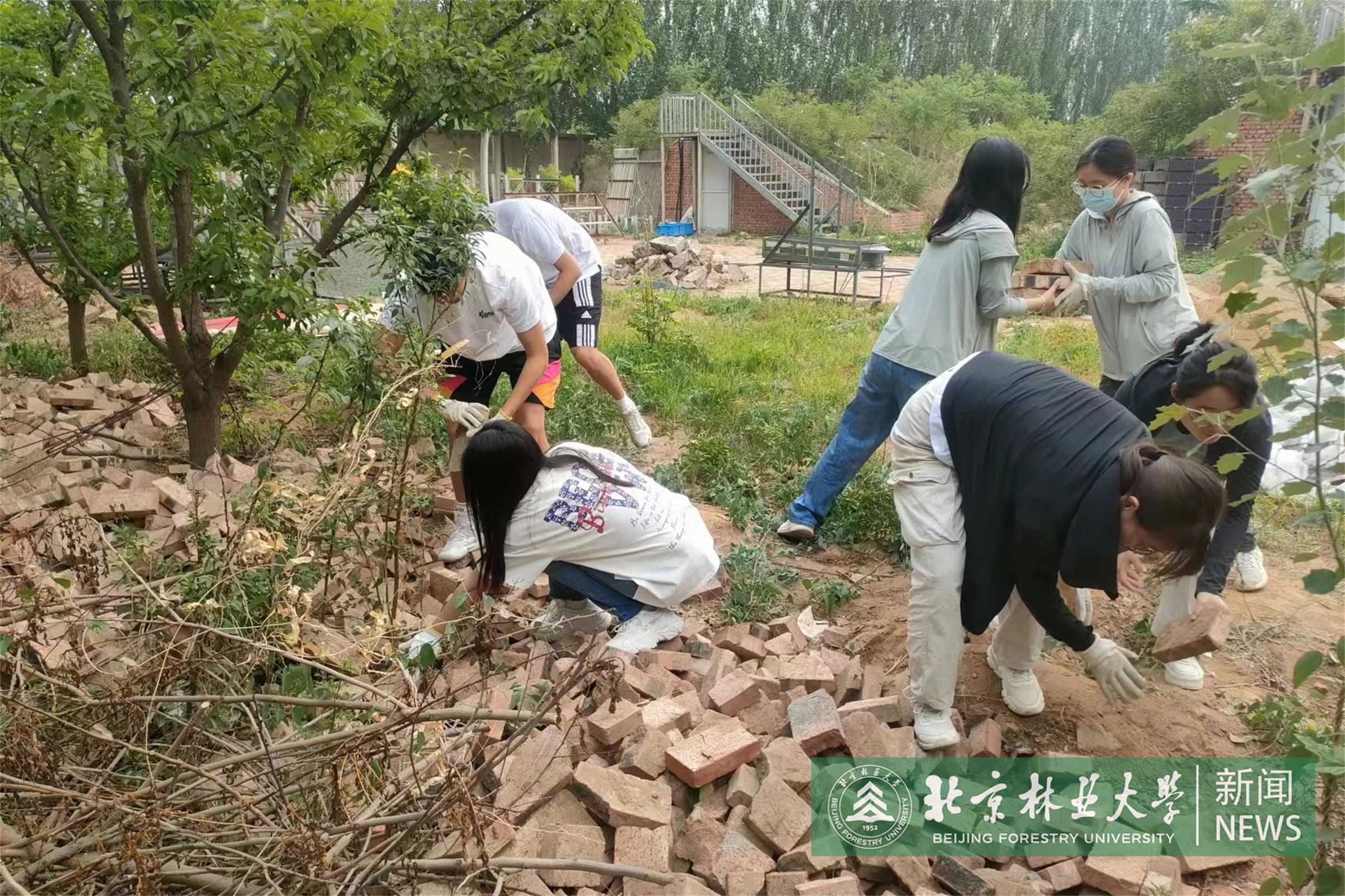 图4.jpg