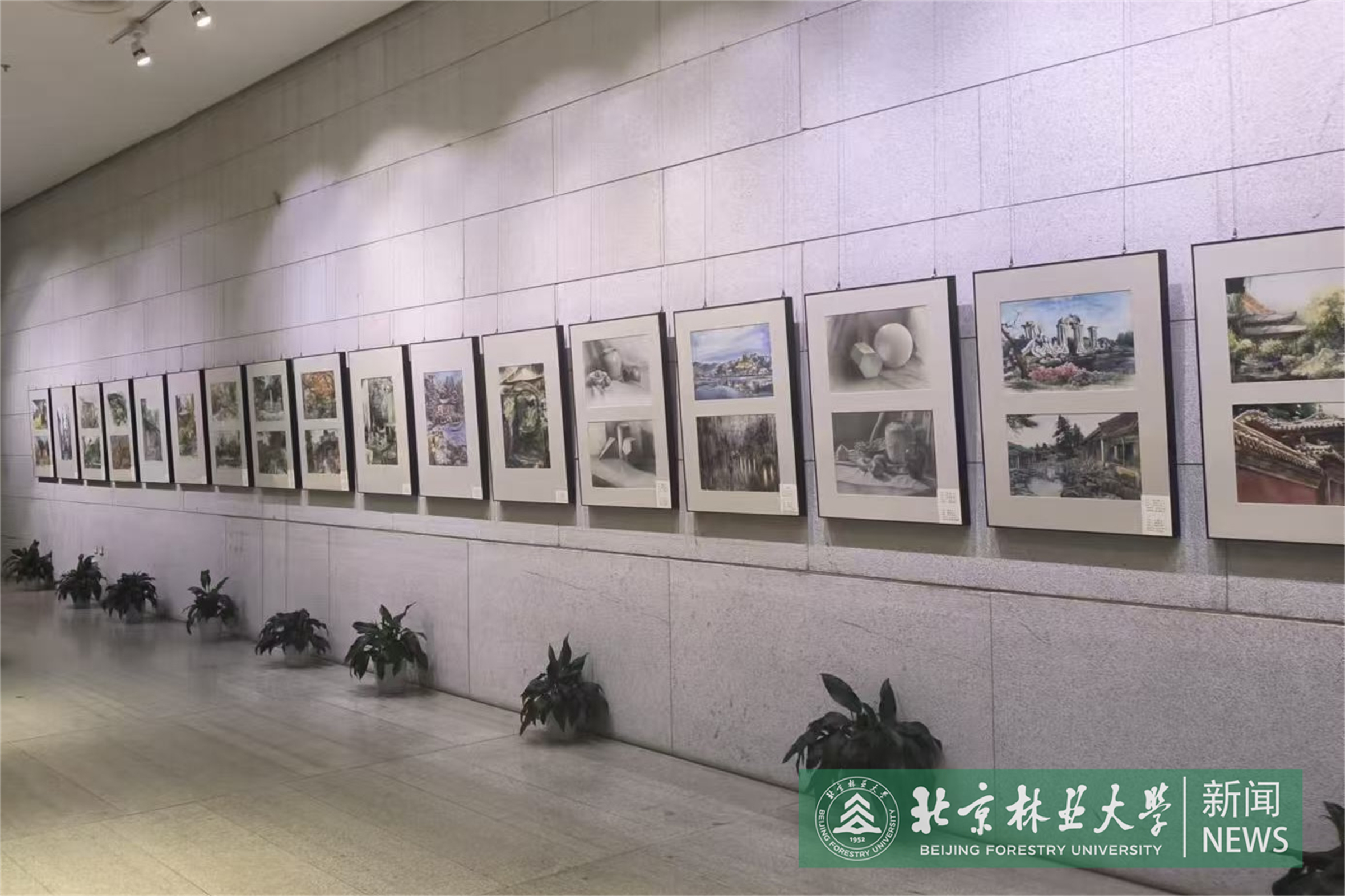 微信图片_20240918201926.jpg