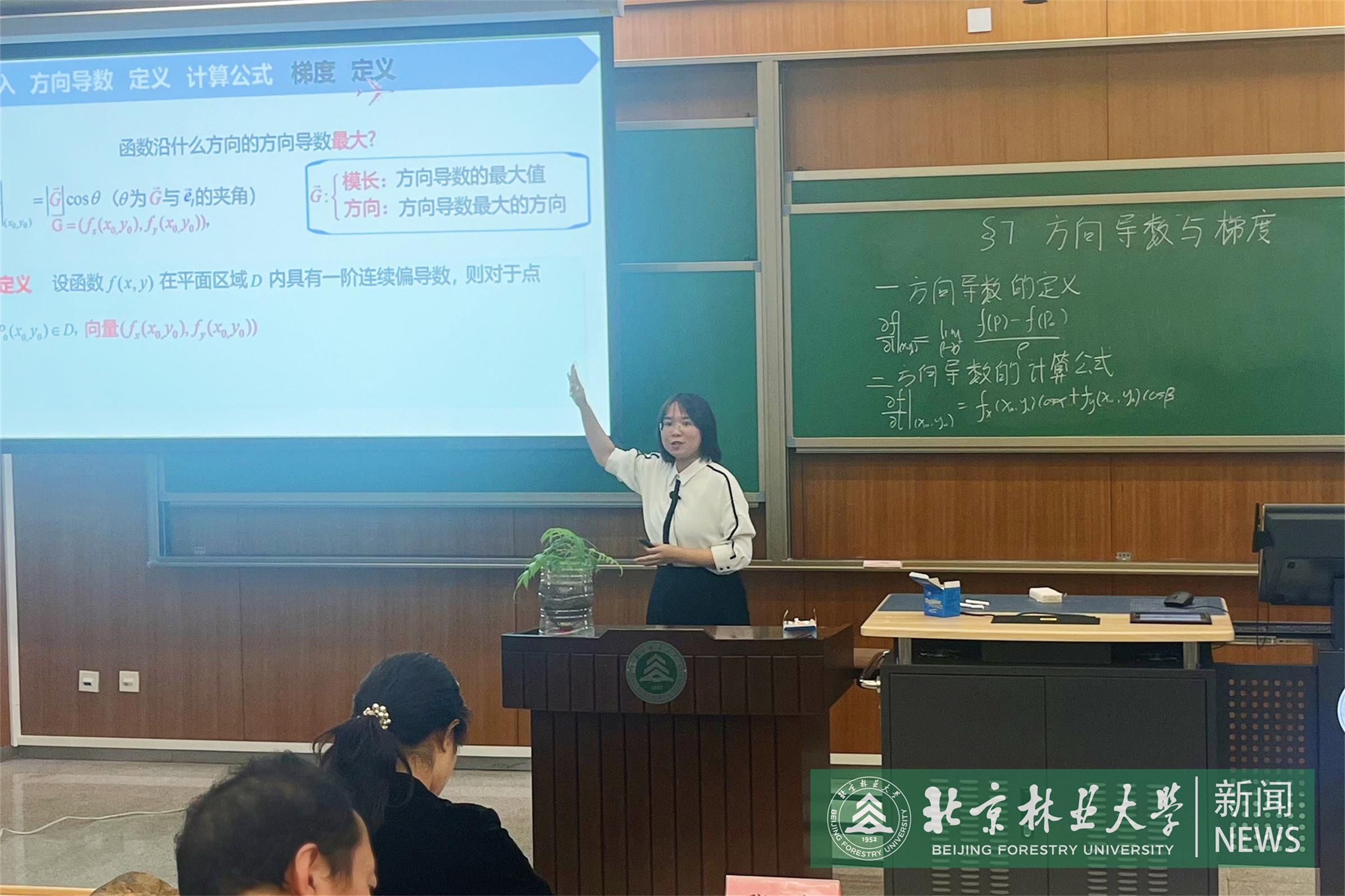 7杨峰艳.jpg