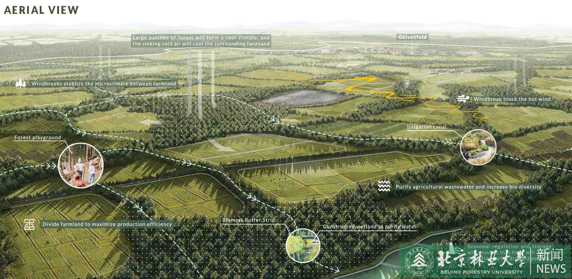 image (1).jpg