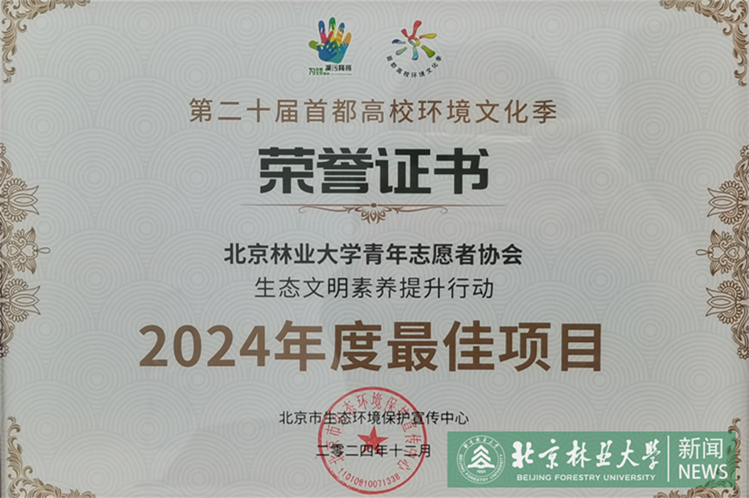 1.荣誉证书.png