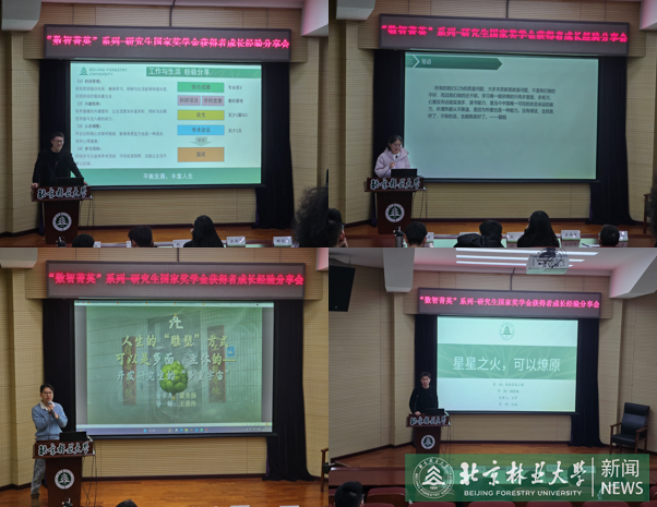 图片合集2.png