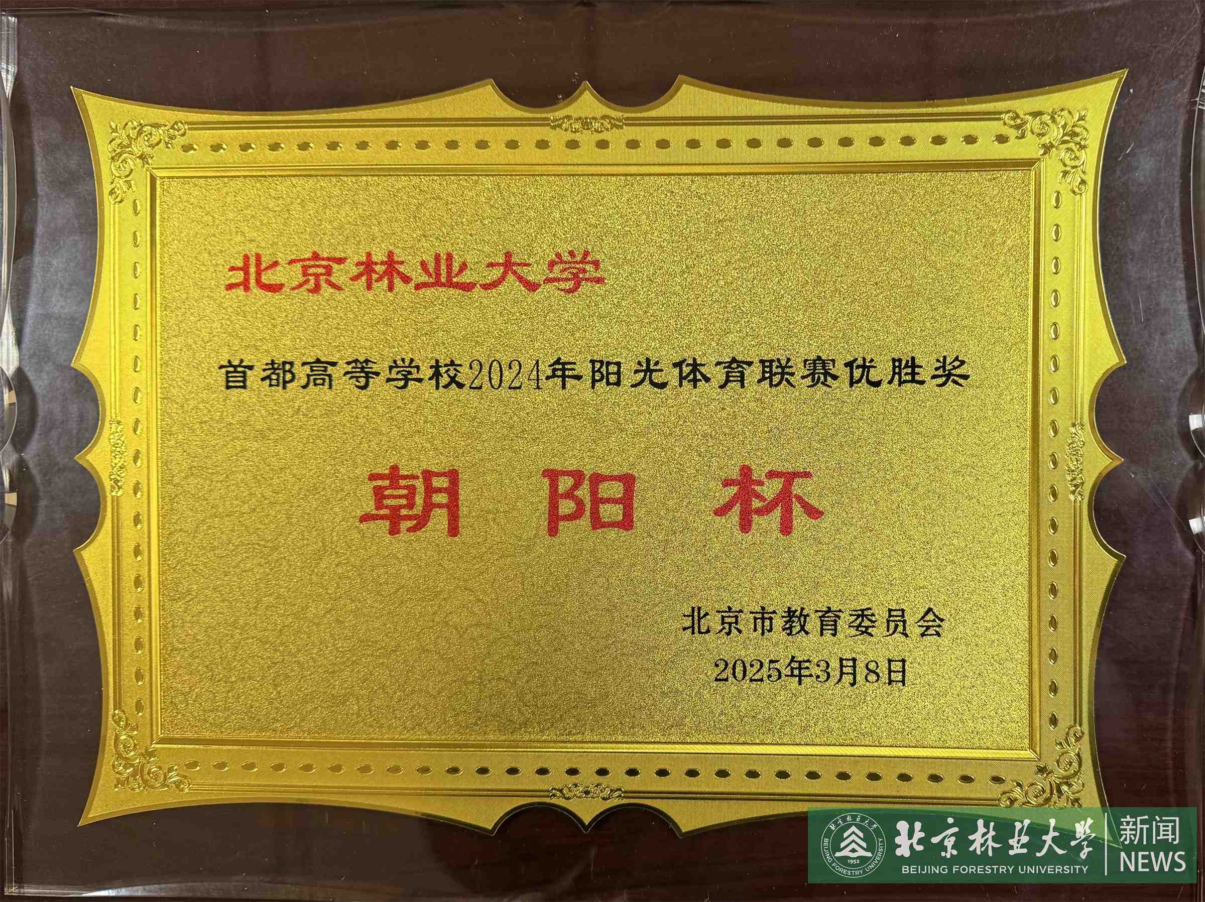 微信图片_20250310084352.jpg