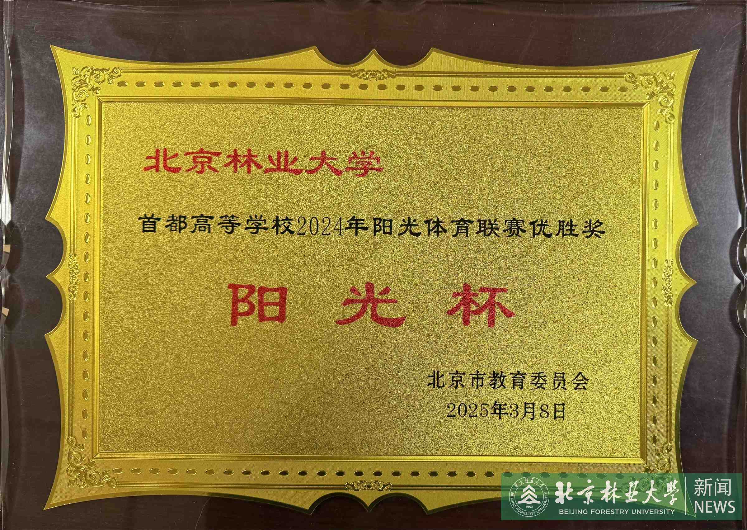 微信图片_20250310084339.jpg