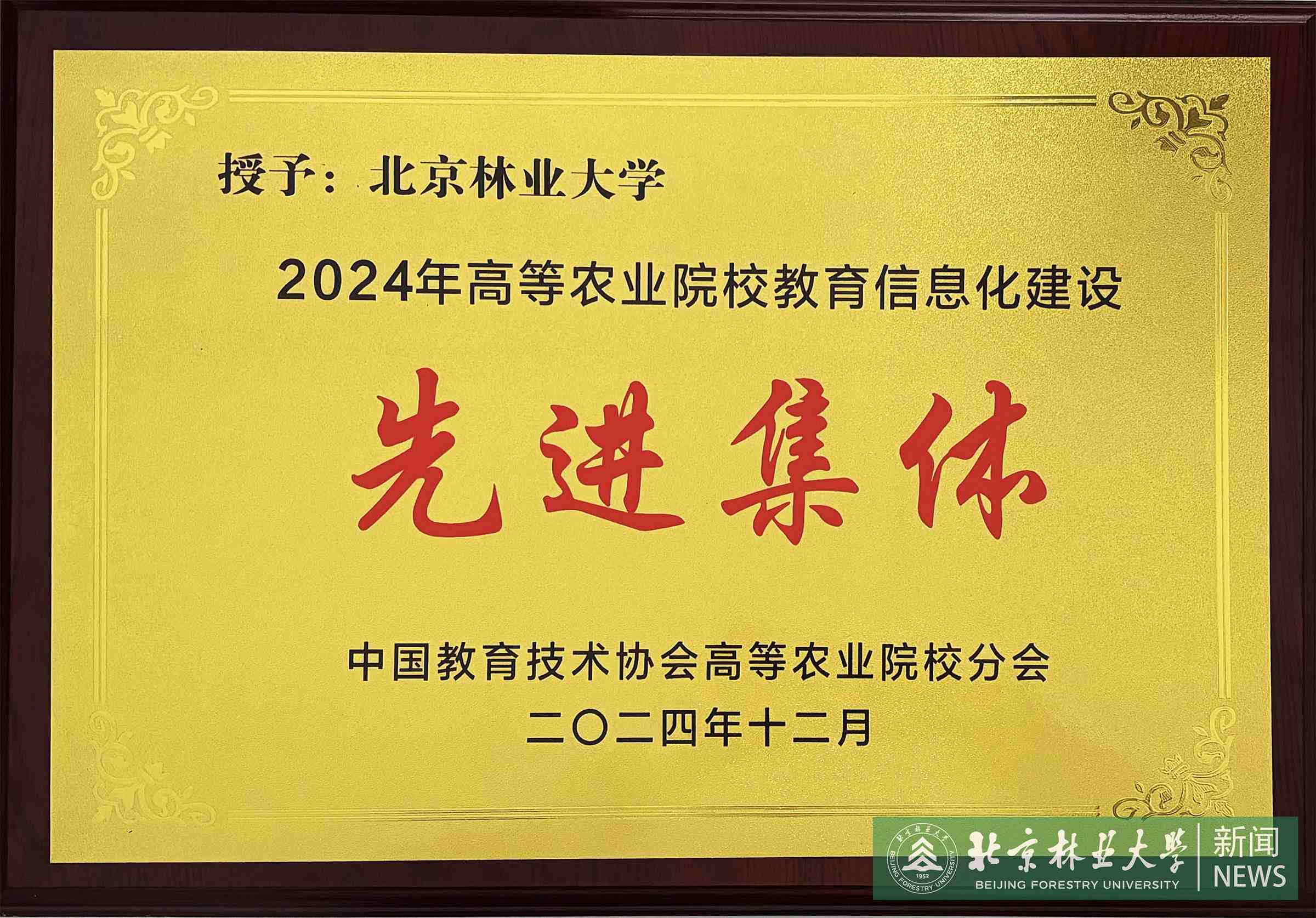 图片_2.jpg