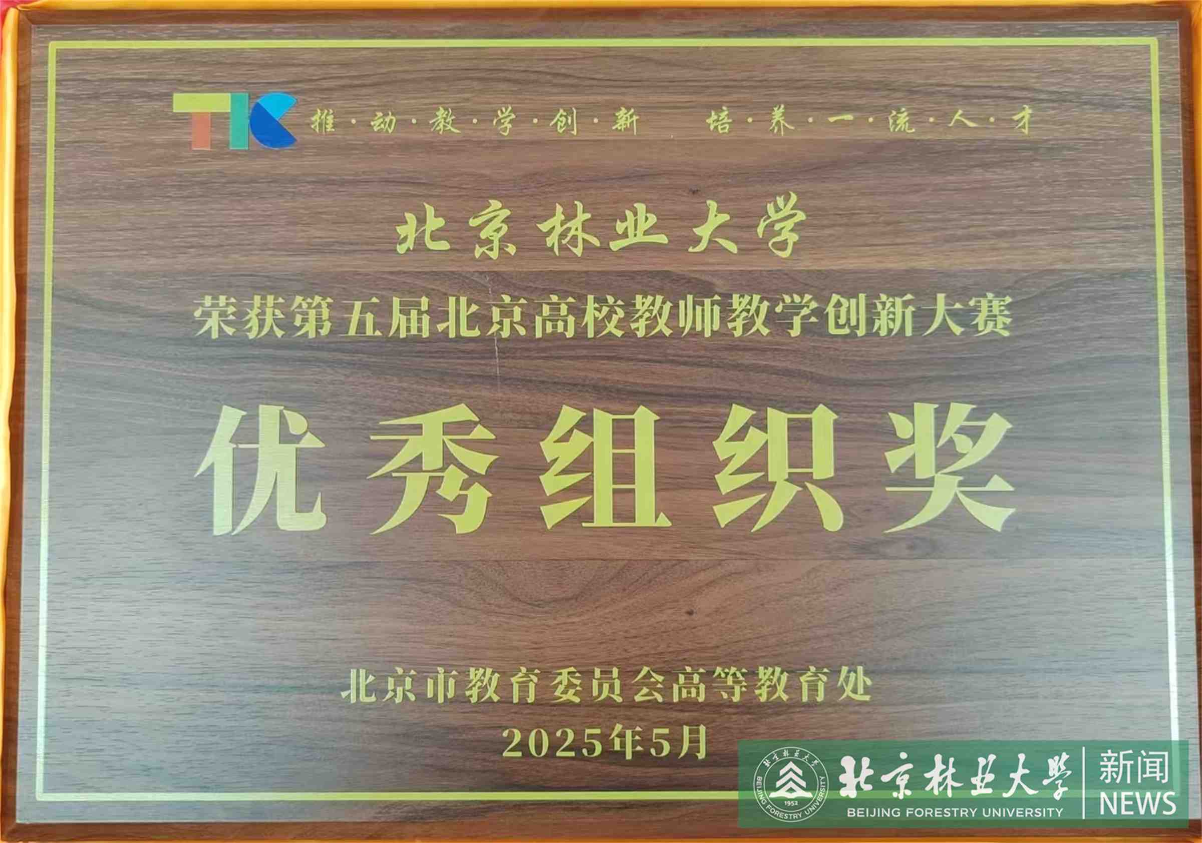 优秀组织奖.jpg
