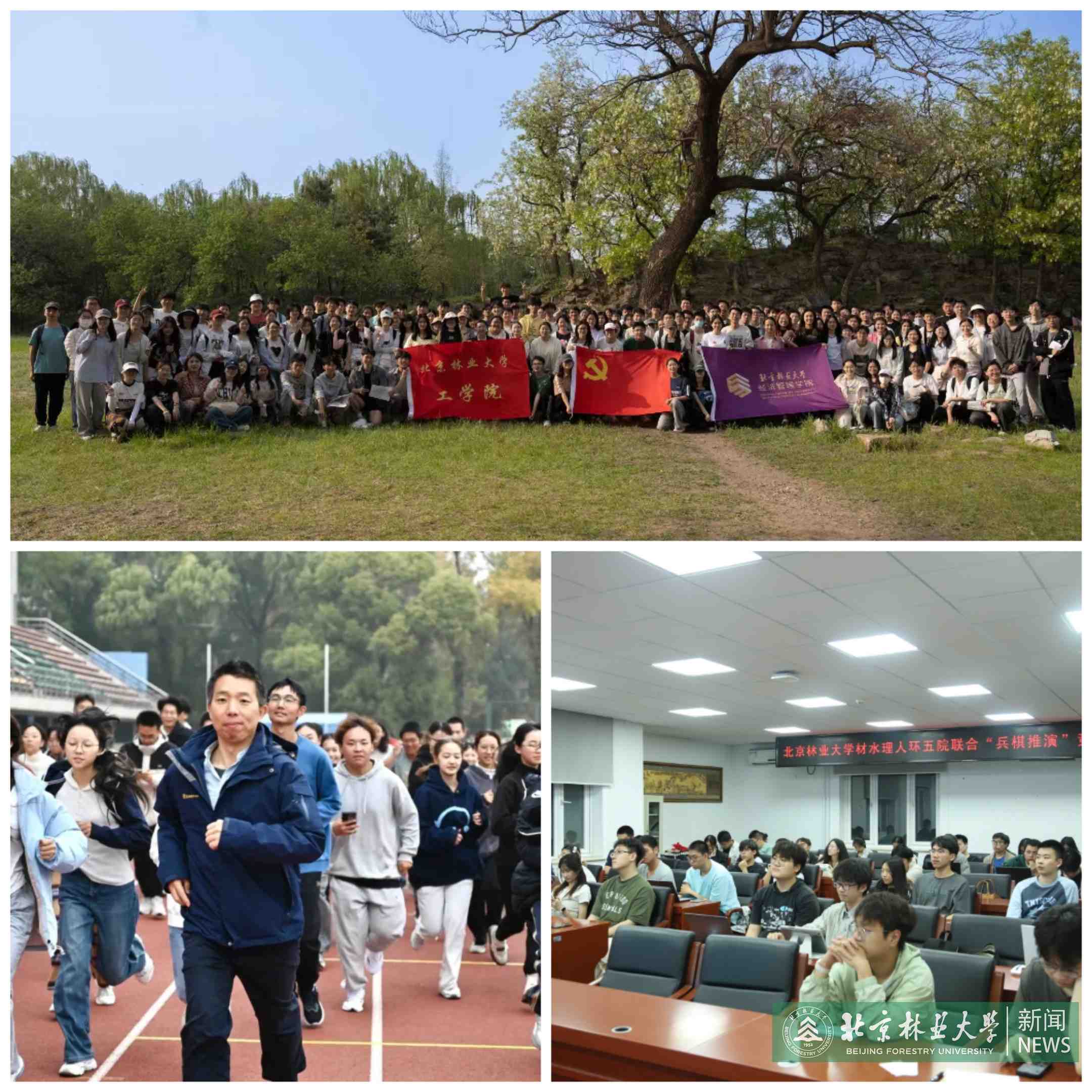 拼图2.jpg
