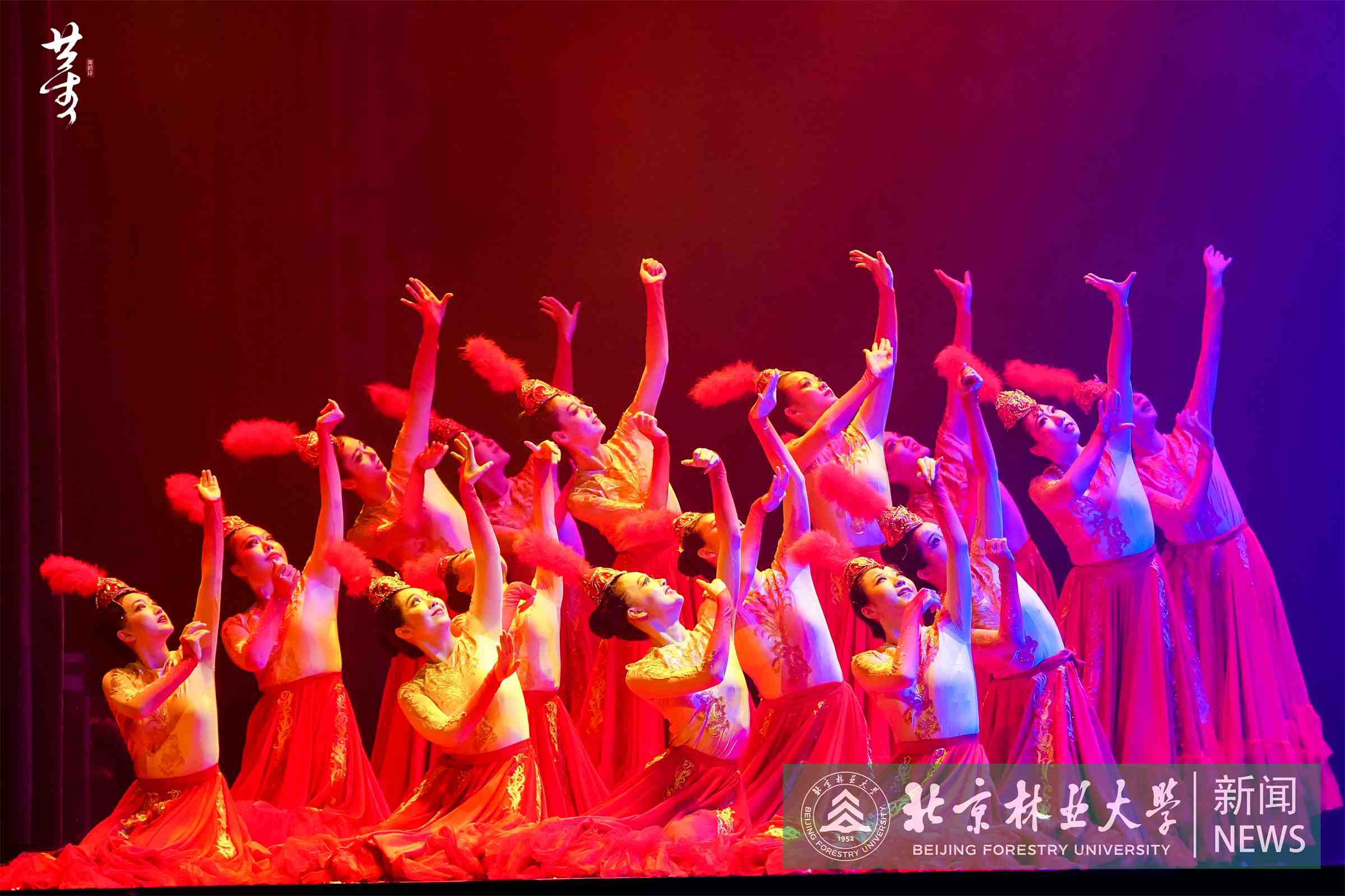沙.JPG