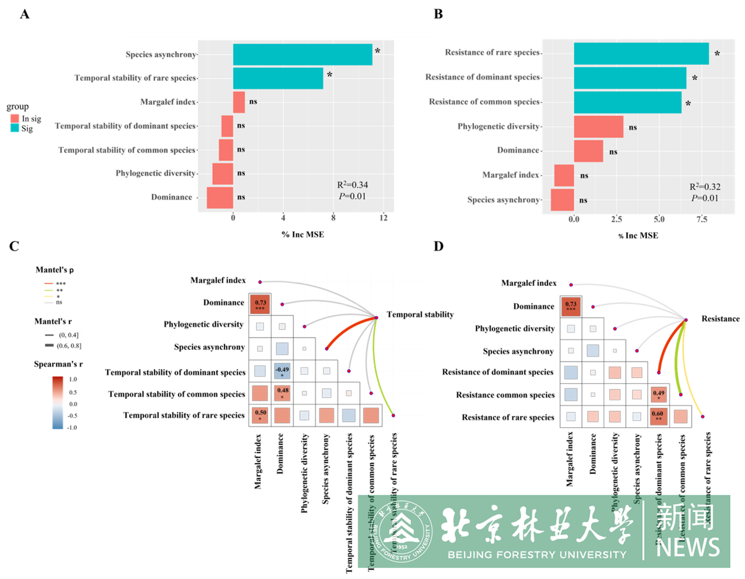 图片3_副本.png